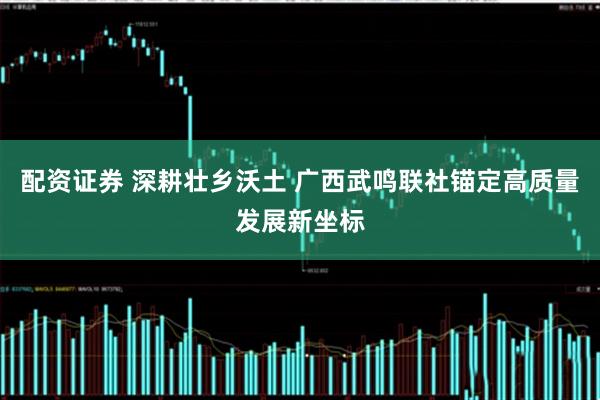 配资证券 深耕壮乡沃土 广西武鸣联社锚定高质量发展新坐标