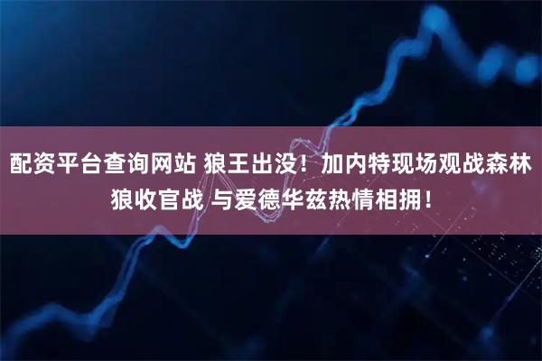 配资平台查询网站 狼王出没！加内特现场观战森林狼收官战 与爱德华兹热情相拥！